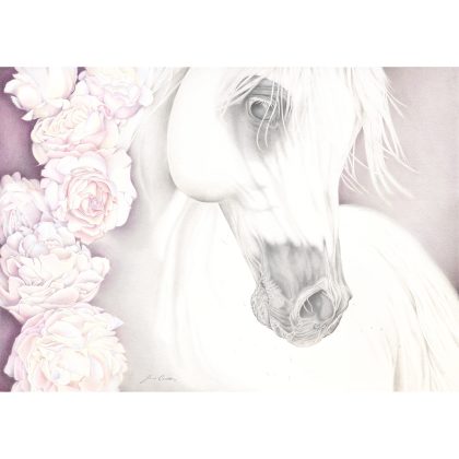 ARABIAN with PEONIES_Coloured Pencil_SML_RGB SQ