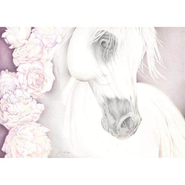 ARABIAN with PEONIES