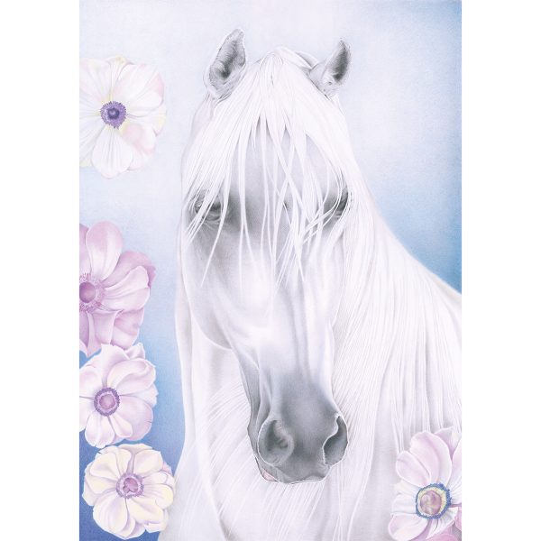 ARABIAN with ANEMONE