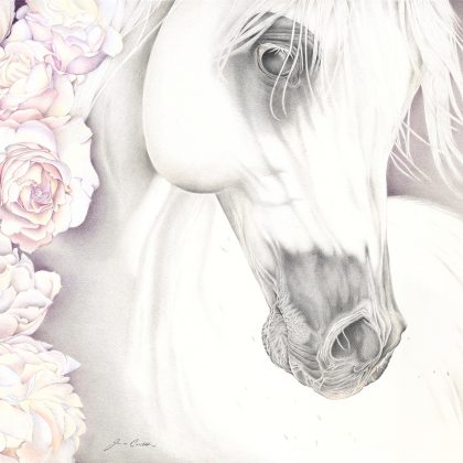 COSSETTINI JANNA_ARABIAN with PEONIES_118x88cm_Coloured Pencil_LRES
