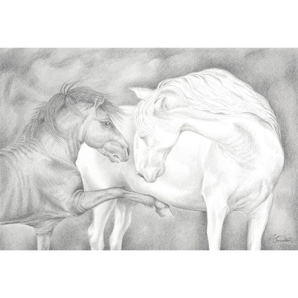 BENEATH BROODING SKIES