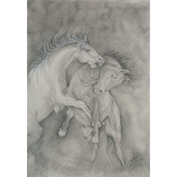 DUEL AMIDST GATHERING STORMS