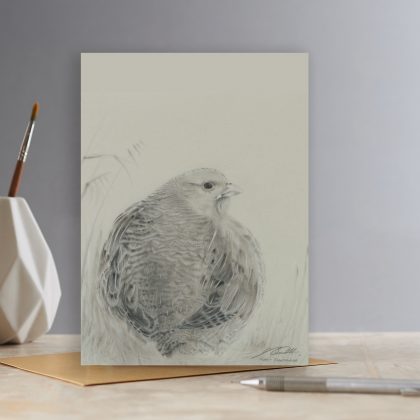 E47_GREY PARTRIDGE_RGB