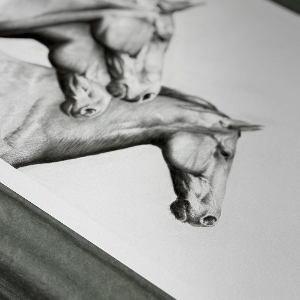 IN HARMONY - Fine-Art Giclée