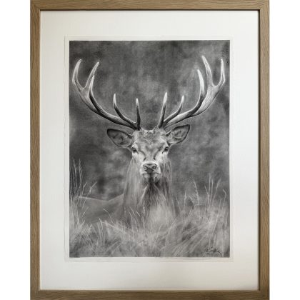 GUNTON STAG_00 copy