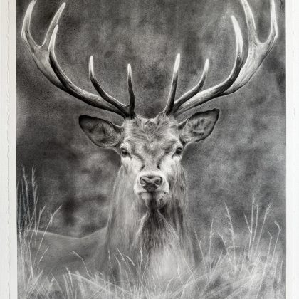 GUNTON STAG_04