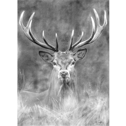 E49_GUNTON STAG_DETAIL