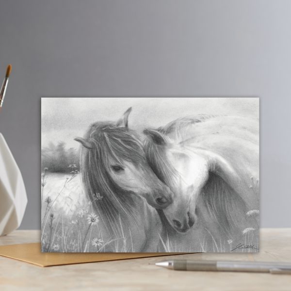 WILDFLOWERS WILDHORSES