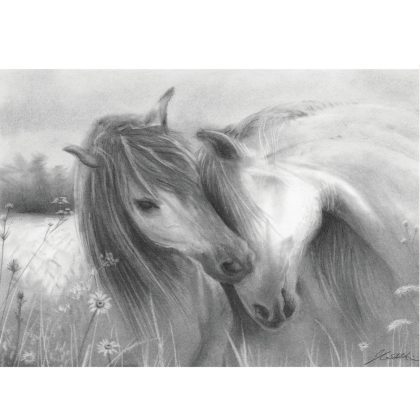 E51_WILDFLOWERS WILDHORSES_DETAIL