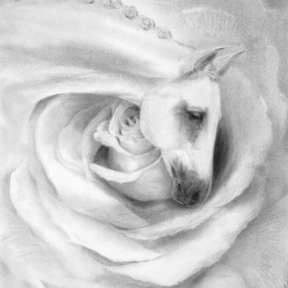 Scanned Document