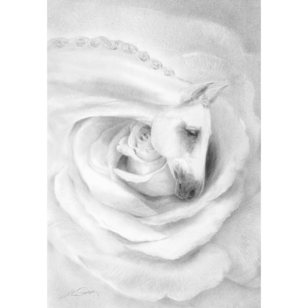 EQUUS LOVE - Fine-Art Giclée