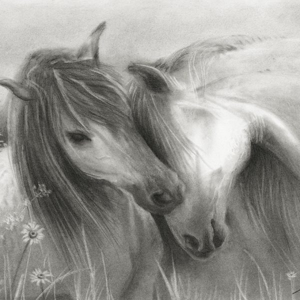 WILDFLOWERS WILDHORSES - Fine-Art Giclée